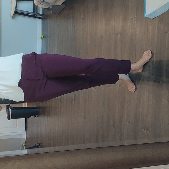 Stretchy maroon pants - Picture 1 of 5